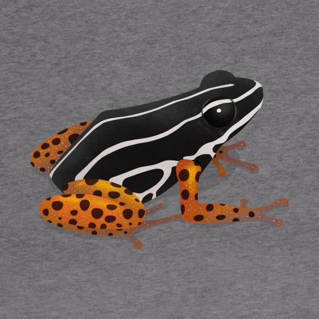 Rio Madeira poison frog by jurjenbertens